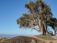 DS601885 : David von der Mehden