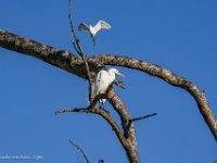 DS601905 : David von der Mehden