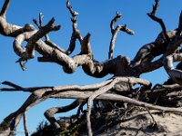 DS601929 : David von der Mehden