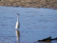 DS601932 : David von der Mehden