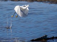 DS601933 : David von der Mehden