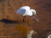 DS601968 : David von der Mehden