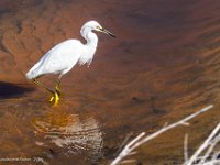 DS601971 : David von der Mehden