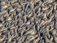 DS602024 : David von der Mehden