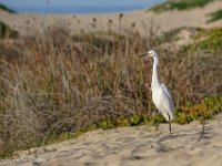 DS602346 : David von der Mehden