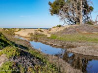 DS602348 : David von der Mehden