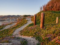 DSC00472 : David von der Mehden