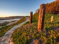 DSC00479 : David von der Mehden