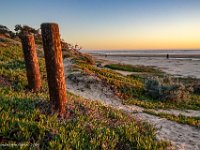 DSC00485 : David von der Mehden