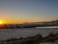 DSC00486 : David von der Mehden