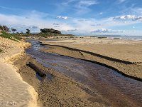 IMG 2026 : David von der Mehden