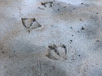 IMG 2029 : David von der Mehden