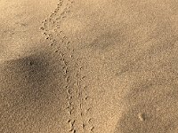 IMG 2031 : David von der Mehden