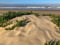 IMG 2032 : David von der Mehden