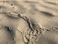 IMG 2033 : David von der Mehden