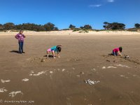 IMG 2042 : David von der Mehden