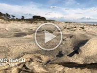 Pismo Beach March 2019