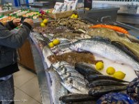 DS603312 : David von der Mehden