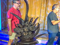 IMG 3485 : David von der Mehden