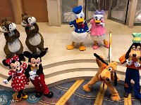 IMG 3492 : David von der Mehden