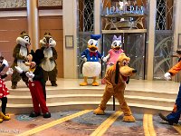 IMG 3496 : David von der Mehden