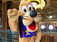 IMG 7519 : David von der Mehden