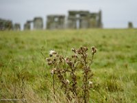 DSC05719 : David von der Mehden