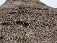 DSC05754 : David von der Mehden