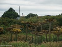 DSC05786 : David von der Mehden