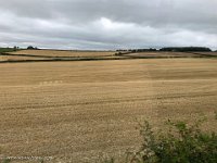 IMG 7373 : David von der Mehden