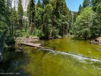 DS603402 : David von der Mehden