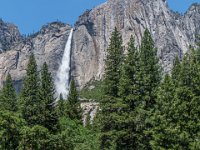 DS603409 : David von der Mehden