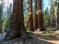 DS603439 : David von der Mehden