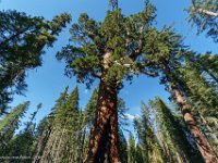 DS603447 : David von der Mehden