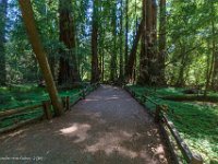 DS603454 : David von der Mehden