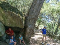 DS603472 : David von der Mehden