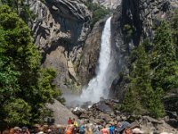 DS603479 : David von der Mehden