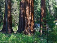 DSC03640 : David von der Mehden