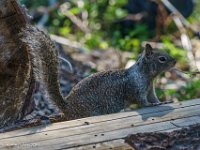 DSC03651 : David von der Mehden