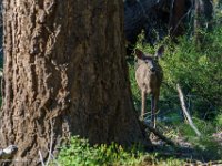 DSC03666 : David von der Mehden