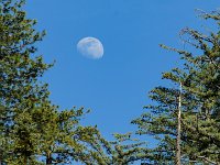 DSC03694 : David von der Mehden