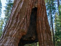 DSC03709 : David von der Mehden