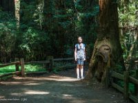 DSC03725 : David von der Mehden