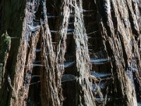 DSC03726 : David von der Mehden