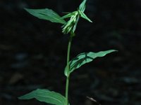 DSC03733 : David von der Mehden