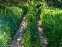 DSC03929 : David von der Mehden