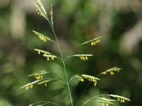 DSC03934 : David von der Mehden