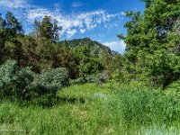 DSC03935 : David von der Mehden