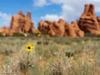 DSC04047 : David von der Mehden