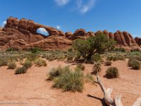 DSC04055-Edit : David von der Mehden